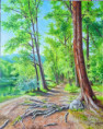 /album/novinky-2013/20260307-124608-jpg/